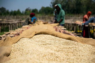 Ethiopia