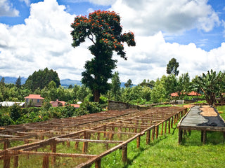 Kenya