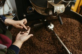 photograph of a roasters hands over a coffee roaster with freshly roasted beans in hands