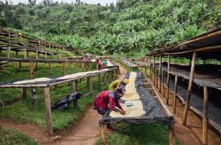 Rwanda