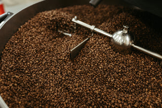 coffee beans in a roasting cooling tray
